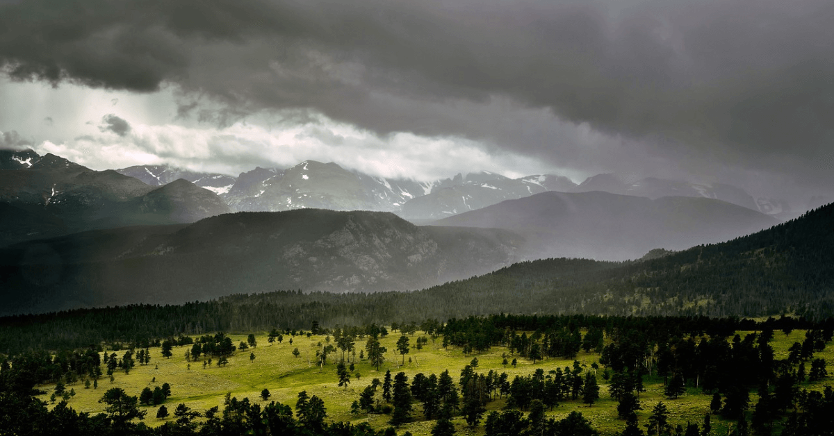 Featured Image for What to Look for When Buying Elk Property